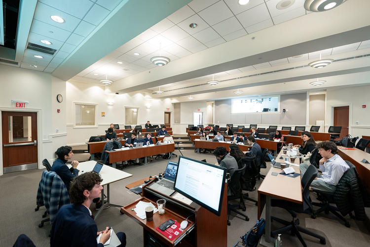 The 2024 Veto Simulation